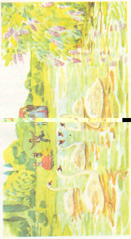 file009.jpg