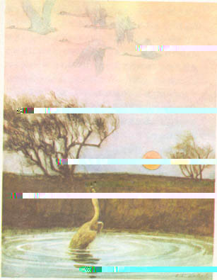 file008.jpg