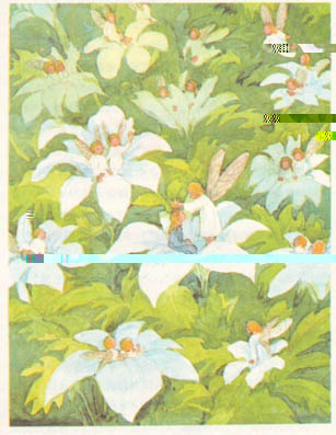file024.jpg