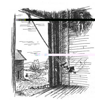 xialuo-11