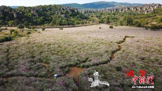 中央环保督察组：云南省生态破坏问题依_洱海-云南省-督察-