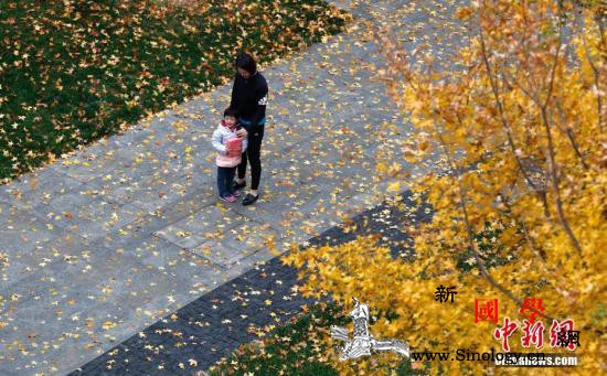 北京今秋共44天立冬日刷新下半年气温_序列-北京-气象局-