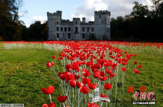 比利时举行图片展见证一战华工历史本真_罂粟花-波普-华工-