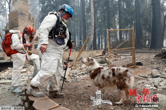 美媒：加州山火已致59死遇难人数或进_失踪者-山火-遗骸-