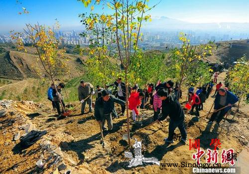 大规模国土绿化行动：2020年森林覆_沙化-耕地-乌鲁木齐市-