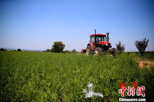 部分地方为套取补贴大量合作社沦为空壳_贫困户-空壳-扶贫-