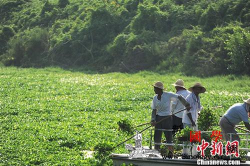 中央生态环保督察“回头看”：罚款超1_亿元-督察-生态-