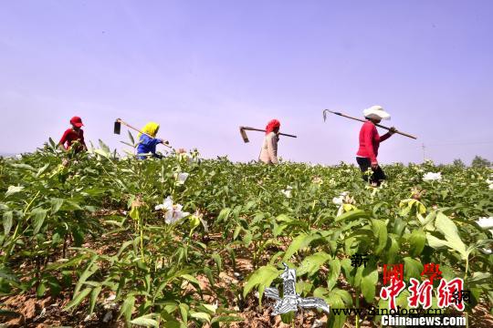 脱贫攻坚稳步推进中国农村贫困人口6年_脱贫-攻坚-扶贫-