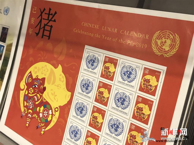 联合国发行中国农历猪年邮票版张受欢迎_联合国-联合国总部-邮票-农历-