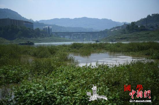 两部委：到2020年底长江流域优良水_长江-长江流域-水质-