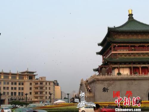 西安市放宽落户条件：本科及以上学历不_西安市-迁入-钟楼-