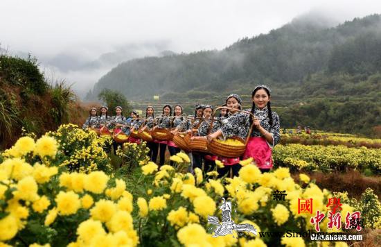 @所有农民！中央一号文件来了十大要_婺源县-敦煌-江西省-