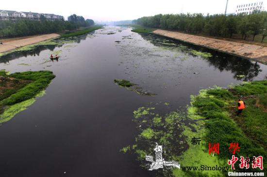 中国去年36个重点城市黑臭水体整治投_水体-水污染-长江-