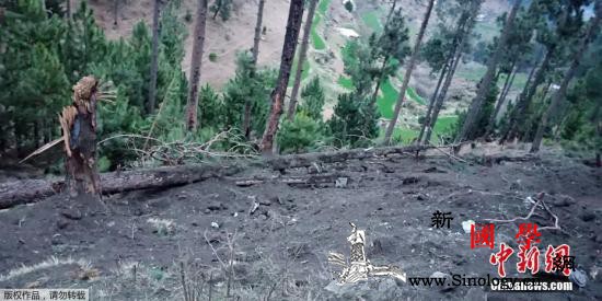 印巴争端后续：巴基斯坦已释放被俘印度_克什米尔-巴基斯坦-外交部-