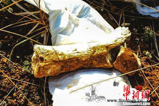 青海评价出世界级地质遗迹专家称或将_西宁-湟中县-化石-遗迹-