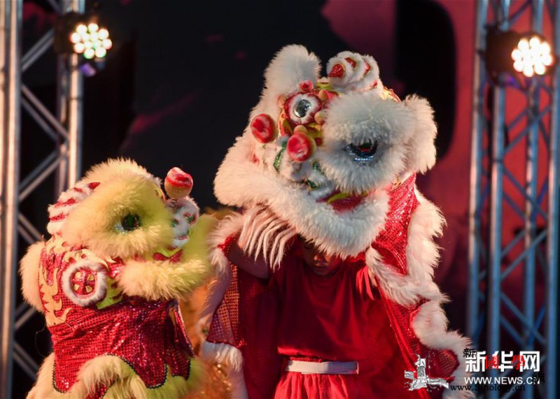 新西兰国博举办"中国舞台日"_惠灵顿-醒狮-文化中心-坎贝尔-