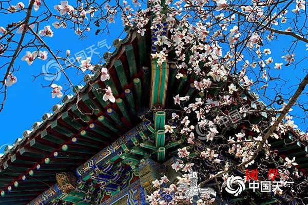 中东部开启回暖模式华南等地阴雨难歇_华南-回暖-江南-