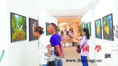 "生灵其境-;-;黄嵩和广西自然摄影_西康-曼谷-广西-叶猴-