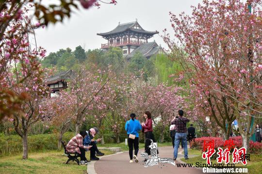 人口增长10强城市盘点：深圳广州杭州_郑州-西安-杭州-