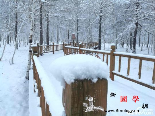 内蒙古呼伦贝尔普降大雪局地积雪达15_额尔古纳市-扎兰屯市-牙克石市-