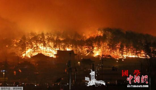 韩国江原道山火破坏巨大政府宣布“国家_山火-火势-韩国-