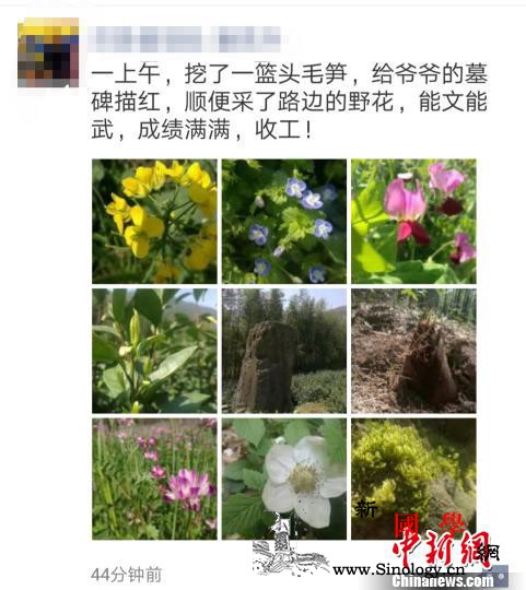 “朋友圈”中的清明小长假：有情有味有_长假-毛笋-朋友圈-