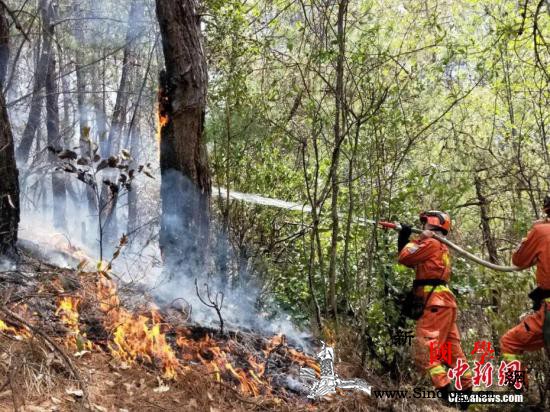 四川凉山州冕宁县森林大火已扑灭转入清_冕宁县-扑救-攀枝花-