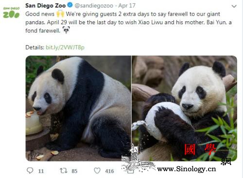 萌翻美国的熊猫“白云”母子要回家了！_卧龙-熊猫-园内-