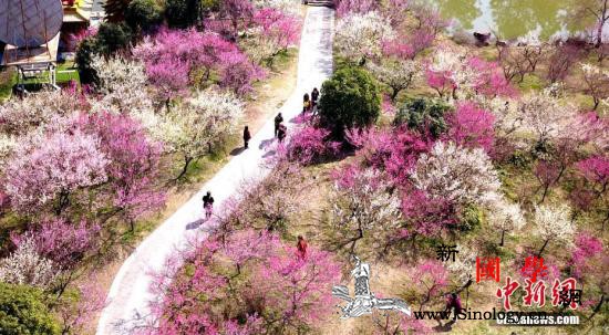长三角“立夏”如“返冬”多地气温跌至_向南-立夏-扬州-