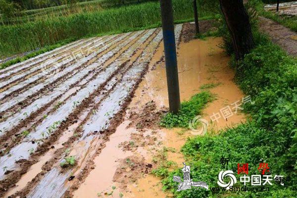 西北雨减弱周四起全国迎三天降水间歇期_西北地区-西南地区-西藏-