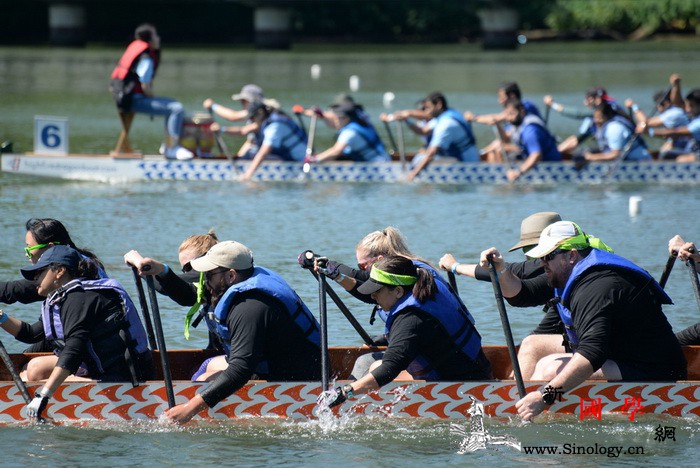 中国龙舟赛已深入美公众生活_奥斯汀-休斯敦-龙舟-美国-