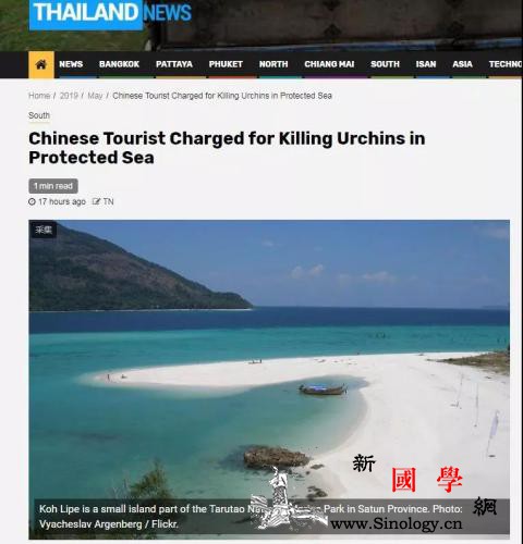 中国游客在泰国“杀死”海胆被诉？真相_曼谷-海胆-泰国-