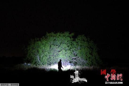 美墨欲解决移民问题墨外长:双方会谈有_帕尔-德克萨斯州-墨西哥-