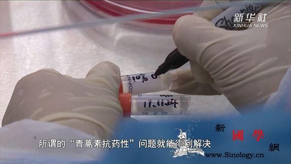 屠呦呦团队成员谈科研突破：苗头很好大_呦呦-抗药性-团队-