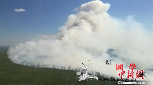 内蒙古大兴安岭18起火灾已扑灭17起_火场-管理局-蒙古-