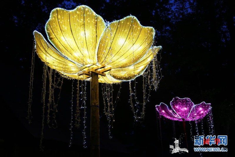 自贡彩灯闪耀罗马尼亚锡比乌国际戏剧节_罗马尼亚-彩灯-闪耀-戏剧-