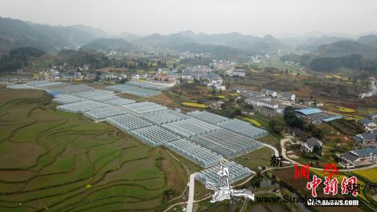 两部门：严禁社会组织利用扶贫牟利严查_脱贫-攻坚-遵义市-