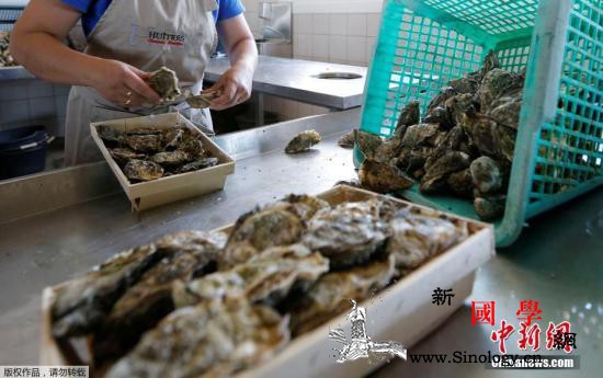 华人海边捡生蚝被调查在海外海鲜不是_捕捞-海鲜-华人-