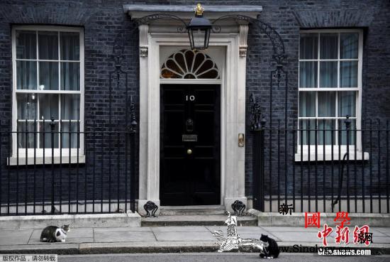 英国选举流程抢先看：新首相人选何时宣_外交部-捕鼠-将在-