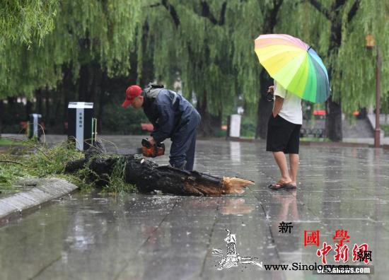 未来三天东北地区等地有较强降雨南方大_南疆-东北地区-华南-
