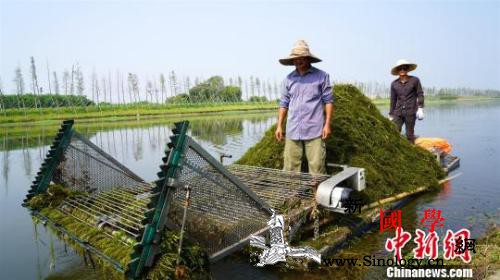 各地去年问责不作为乱作为虚假作为河湖_水利部-金湖-湖区-