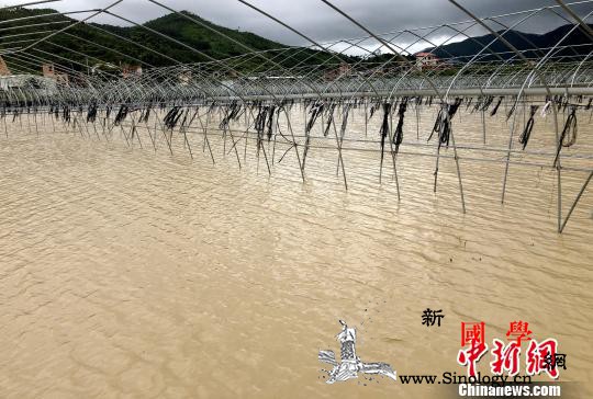 直击台风“白鹿”：农田被淹电网受损民_漳浦县-漳州市-抢修-