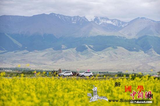 前7月全国空气质量状况排名公布你家上_微克-空气质量-天数-