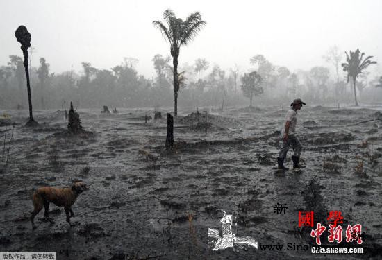 亚马孙雨林大火：巴西将接受金援多国吁_哥伦比亚-亚马逊-巴西-