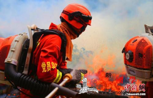 全国拟招录超2.1万余名消防员报名人_消防员-救援-招录-