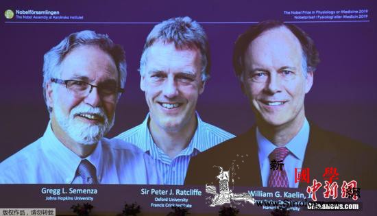 2019诺贝尔生理学或医学奖揭晓！3_斯德哥尔摩-诺贝尔奖-诺贝尔-