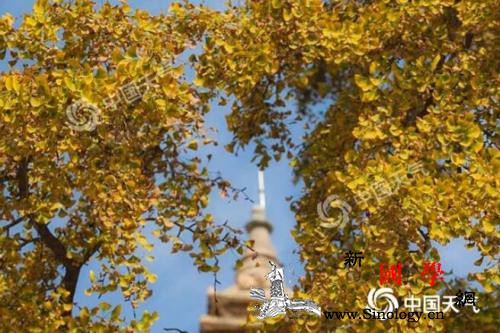 南方多地气温将创新低西南地区雨水继续_西北地区-西南地区-江南-