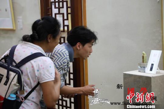 2019亚洲篆刻艺术名家作品邀请展在_草堂-成都-篆刻-杜甫-