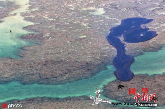巴西泄漏原油污染致巨额损失或影响加勒_巴西-加勒比-原油-