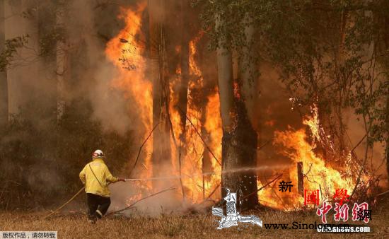 越烧越烈!澳大利亚悉尼首遇10年来最_悉尼-火场-澳大利亚-